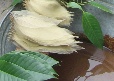 3form fossil_leaf_2